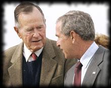Bush and Bush